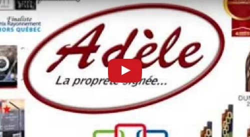 Publicité radio Adèle : Le grand ménage on connait ça!